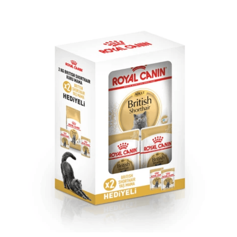 Royal Canin British Shorthair Yetişkin Kedi Maması 2 Kg Yaş Mama Hediyeli