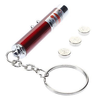 Kedilerle Oynanabilecek Oyunlar