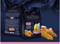 Myyem Selection Ballı Mama Takviyeli Yavru Muhabbet Yemi 1 Kg