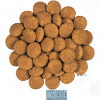 Royal Canin Maxi Dermacomfort Deri Hassasiyetli Köpek Maması 10 Kg