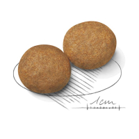 Royal Canin Medium Adult Orta Irk Yetişkin Köpek Maması 15 Kg