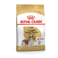 Royal Canin Cavalier King Charles Adult Yetişkin Köpek Maması