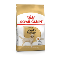 Royal Canin Labrador Retriever Adult Yetişkin Köpek Maması