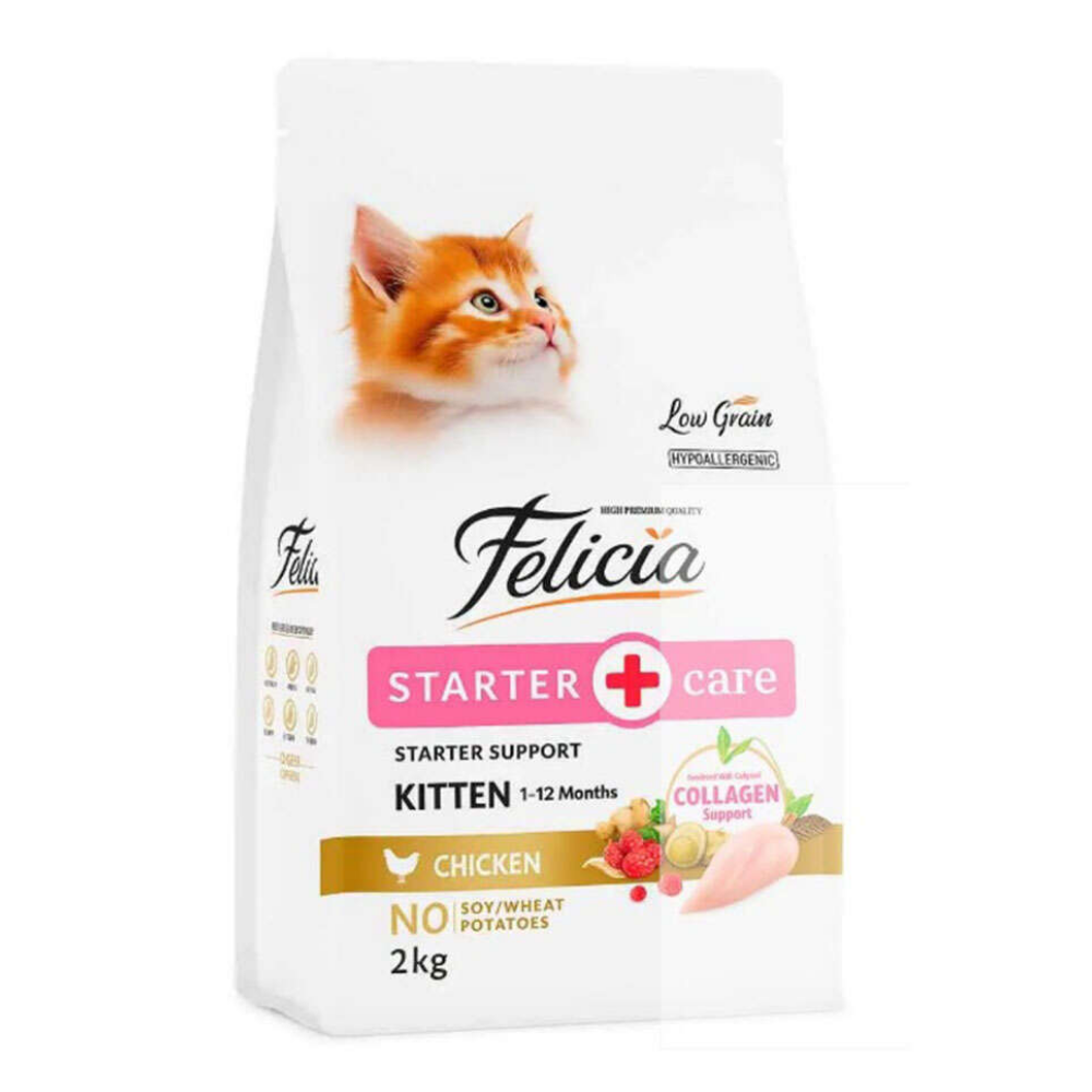 Felicia Kolajen Destekli Kitten Yavru Kedi Maması Tavuklu